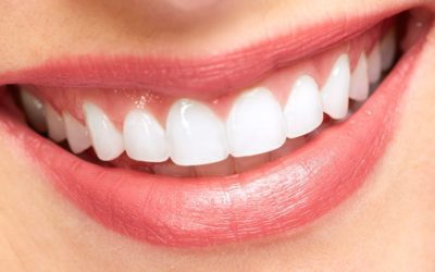 Las distintas partes que conforman un diente